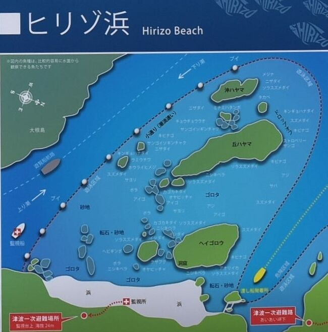 ヒリゾ浜の絶景と185系踊り子号引退 渡し船で行く浜と国鉄時代の特急 南伊豆 南伊豆 静岡県 の旅行記 ブログ By かっちんさん フォートラベル ヒリゾ浜の絶景と185系踊り子号引退 渡し船で行く浜と国鉄時代の特急 南伊豆 南伊豆 静岡県 の旅行記 ブログ By かっちんさん フォートラベル