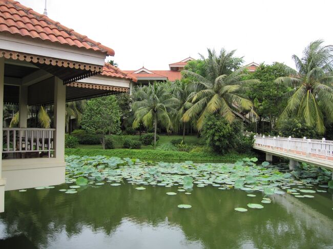 ここで昼食です。