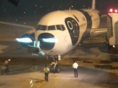 1/30夜、帰国時のタンソンニャット国際空港。
ANAのFLY パンダ機。ちょっと間抜けな感じがしてしまった。