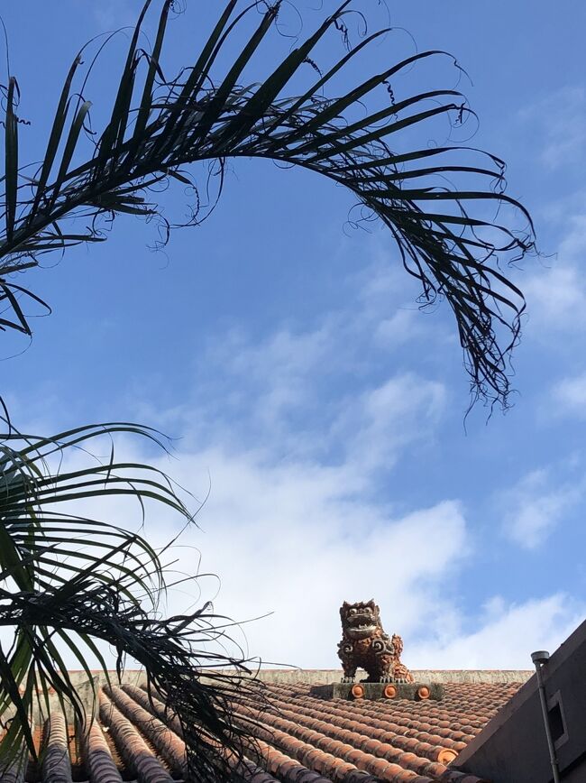 琉球瓦とシーサーと青い空。。。
