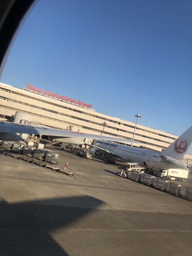 羽田に無事到着。<br />あったかい冬の沖縄が快適過ぎて定番になりつつあります(^^)
