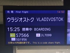 初めて利用する航空会社だったのですが、JALやシンガポール航空との共同運行便でした。夕方の成田発なので、ウラジオストクに着くころには暗くなっていそうですね。