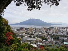 展望所に着きました。ここから見た桜島は格別でした