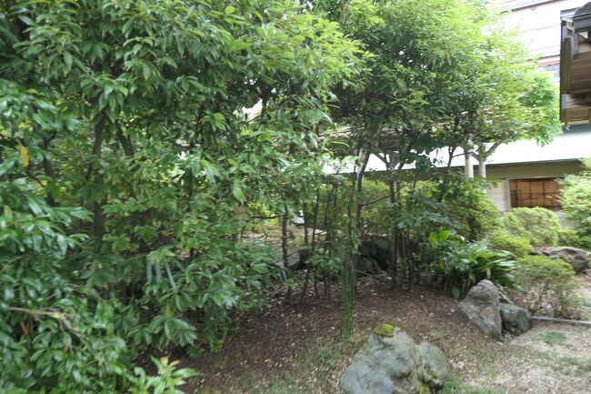 庭は庭園というほどではなさそうです。