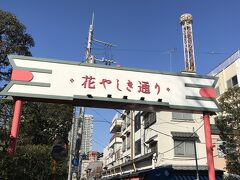 くるりと抜けて花やしき通りへ
頑張ってる日本最古の遊園地花やしき
右の塔が「花やしき史上、最強・最速の絶叫マシーン」
というスペースショット