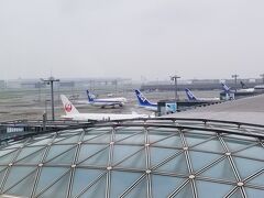 羽田空港国際線 JALサクララウンジ