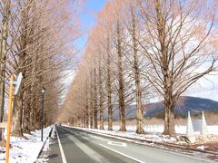 すばらしいです。
周囲からも来てよかったーとの声が聞こえてきます。