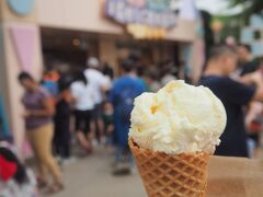 暑いのでアイスをいただきます。