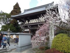 　続いて梅宮大社へ。言わずと知れた「梅」の名所だ。城南宮は京都市の南部だが、縦断するように京都市西端の梅宮大社へ。門前から梅が盛りだ。門前の石碑には「梅宮　日本第一」と大書されている