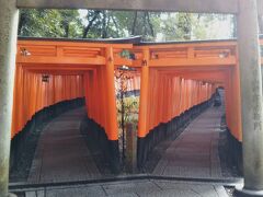 ここからが千本鳥居。