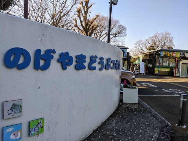 春間近 連日の陽気に桜も勘違い寸前 横浜 神奈川県 の旅行記 ブログ By Tamuさん フォートラベル 春間近 連日の陽気に桜も勘違い寸前 横浜 神奈川県 の旅行記 ブログ By Tamuさん フォートラベル
