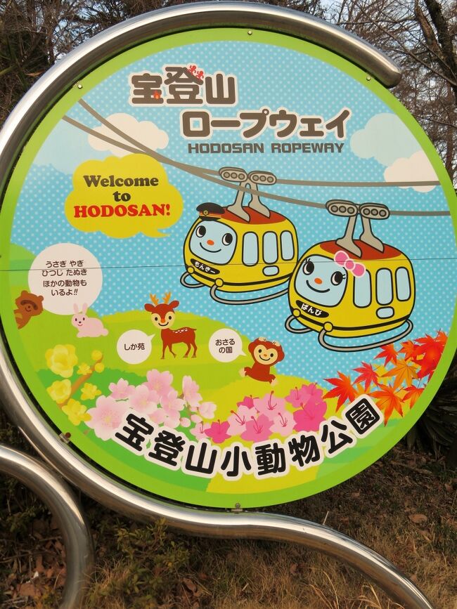 車デビューの３年ぶりの秩父宝登山ロウバイ詣 前編 ロープウェイ山麓駅まで車でらくちん 意外に楽しめた宝登山小動物公園 帰りに道の駅はなぞの 長瀞 埼玉県 の旅行記 ブログ By まみさん フォートラベル