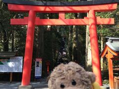 ホテルからタクシーで箱根神社にやって来ました。
これから参道を登って本殿に向かいます。