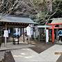 初春の丹沢大山・阿夫利神社初詣：ハイキング