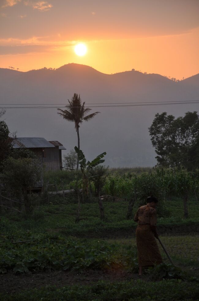 結局夕日は工場の裏の畑で眺めることになった。<br />一応サンセットの時間帯にクルーズしたのは事実なのだが湖上で夕日を眺めるわけではなかった。。