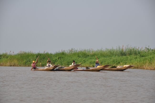 ７時半にニャウンシュエの港を出港し、水路を南下してインレー湖に出た後、１時間ほど南へ進んだ。<br /><br />途中漁をする小舟を眺めながらの航海だ。<br />目指す場所はインレー湖南端のインポーコンだ。