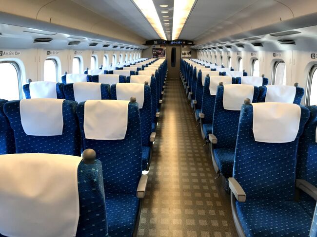 185系】 乗車位置案内板『特急踊り子号 7号車 自由席 禁煙』7両・