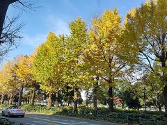 横浜山下公園通り