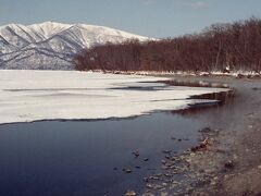 バスは摩周湖を後にし、次に停まったのは屈斜路湖の砂湯だった。
そこは、湖岸から温泉が湧き、氷が溶けている。
白鳥や鴨たちがそこに集まり、なかなか賑やかだった。