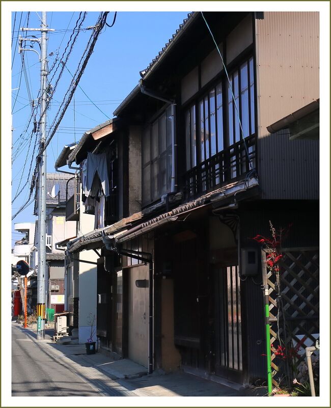 Solitary Journey 51 瀬戸内の内海町に咲くスイセンを見ながらのんびり 水仙の里 古き良き町並み 広島県内海町 松永町 福山 広島県 の旅行記 ブログ By Mechagodzilla 703さん フォートラベル Solitary Journey 51 瀬戸内の内海町に咲くスイセンを見ながらのんびり 水仙の里 古き良き町並み 広島県内海町 松永町 福山 広島県 の旅行記 ブログ By Mechagodzilla 703さん フォートラベル