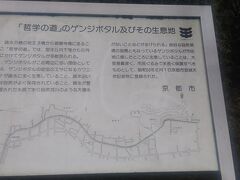 哲学の道。この日はちらほら人を見かけたくらいかな。自粛で銀閣寺参道のお店もほとんど休業してたからね。それに冬だし。

ゲンジボタルは毎年5月下旬から6月にかけて多く見られるらしい。それはここに餌になるカワニナが多くいることと、管理された水路だから自然河川のように大増水しない環境があるから。