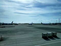 真ん中席だったので景色を撮ることもなく那覇空港に到着しましたよ。

1月以来です。