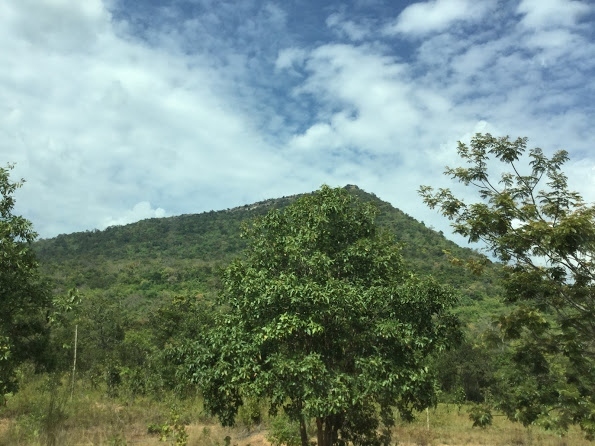山頂が、遺跡の⑥の辺り？と思う。<br />13：30頃、遺跡ふもとの、チケット売り場の駐車場に到着。<br /><br />チケット売り場付近には、飲料売りの屋台あり、水洗トイレあり。<br />トイレは、無料か有料か忘れました。<br /><br />遺跡入場料20＄/2人。<br />パスポートの提示必要かも？との事で、持っていたが、不要だった。（たまたまかも）<br />それなりに人はいたようですが、観光客は、私達夫婦だけなのか、25＄の貸し切りで、ピックアップトラックに乗る。<br />たしか前払いだったと思います。（相乗りしたかった）<br /><br />2人だけなので、荷台ではなく、4人乗りの後部座席に乗せてもらう。<br />道路は、結構、急こう配（噂程ではない）。<br />途中、急ごしらえ見たいな道路を左折。<br /><br />14：00頃、遺跡駐車場に到着。屋台多数ありで、飲食の心配なし。水洗トイレ（1000リエラ）男性用は綺麗。<br />想像より賑やか。辺ぴな国境の遺跡観光地というより、普通の観光地。