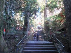 朝一「箱根神社」