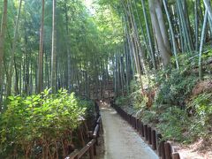 登城するためには小高い山を登ります。
さすがに真夏です。暑くて息がきれます。