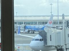 中部空港直行便が欠航になったので
那覇で乗り継ぎ

那覇空港では娘夫婦とニアミス
彼女らはもう機内だったから会えなかったけど
ジンベエジェットがいたよなんて
ＬＩＮＥで話してました