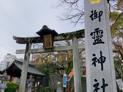 明智家の家紋の桔梗柄がなかなか素敵。