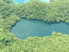 湖の左下にちょっと白っぽくなっている箇所があります。
この湖にいるジェリーフィッシュ（クラゲ）が群れている箇所なのだそうです。