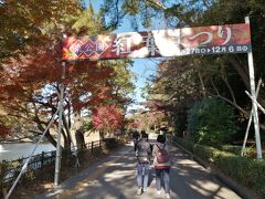 岡崎東公園の紅葉まつりが始まりました。今日が初日ですが紅葉具合はどんな感じでしょうか。