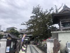 伊豆急伊豆稲取駅近くの済広寺。