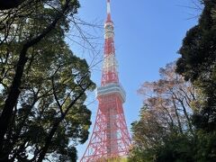 食後は東京タワーへ
お部屋から目の前に見えるし、折角なので上ってみることにしました

東京タワーに上るのは約25年ぶり？？
とにかく久しぶりです