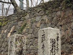 龍馬がブーツをはいていた証拠は上野彦馬の撮った写真。
彼は下岡蓮杖とともに日本の写真の祖と言っていいだろう。
その上野彦馬の墓は同じ風頭山にある。
墓の彼方に龍馬像を望むことができる。