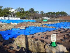 駿府城公園 (駿府城址、紅葉山庭園)