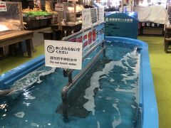 イカが泳いでいない・・・、やりたかった、、、