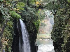 真名井の滝
天孫降臨の際～この地に水がなかったので、天村雲命が水種を映した「天真名井」から湧き出る水が水源の滝と伝えられています。
そろそろ貸しボートを漕ぐ姿が、見られるようになりました・・