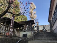 別所梅林を離れて、近くにある城前寺へ。