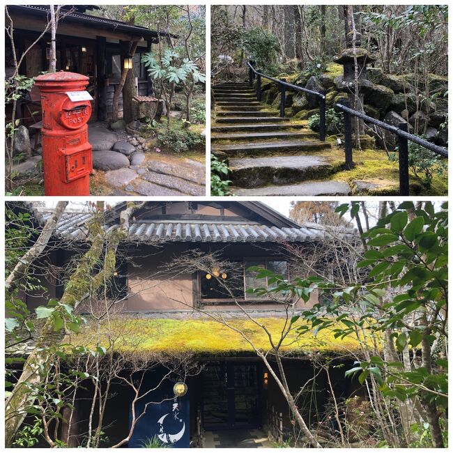 お庭にも行く暇がなくて、朝の散歩に売店・森のおみやげやさんものぞいてみました。品ぞろえ豊富です。