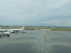 初修行。
ゆっくりめの羽田午後発。

人生三度目の那覇空港は小雨がチラついて梅雨のような蒸し暑さでした。