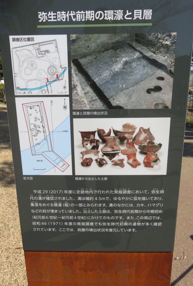 『弥生時代前期の環濠と貝層』のタイトルがあった説明パネルの光景です。弥生時代は、日本ける時代区分の一つであり、異説もありますが、紀元前6世紀頃から、紀元後3世紀中頃までにあたる時代です。弥生時代の始まりは、縄文時代晩期との明確な区分が付きませんが、概ね紀元前6世紀頃から始まり、終りは古墳時代との区別が付き難い点もありますが、概ね紀元3世紀頃までです。また、弥生時代は、早期、前期、中期、後期と晩期の五つの区分など、いくつかの区分方法があります。説明文の中で、『前期～中期初め』の期間を『紀元前6～紀元前3世紀』と表現してありました。後ほど時代区分の一覧も紹介します。