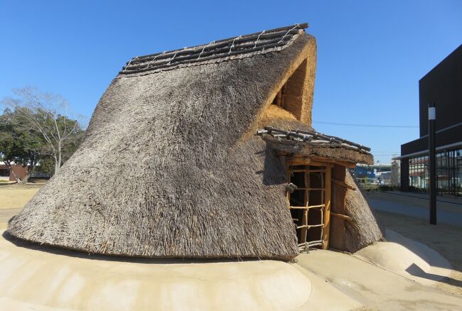角度を変えて眺めた、『復元竪穴住居』の外観です。全体は萱で葺かれているようでした。日本名城巡りの青森県の『根城』で、江戸時代の『竪穴住居』の再建光景を目にしましたが、それに引けを取らない立派さでした。
