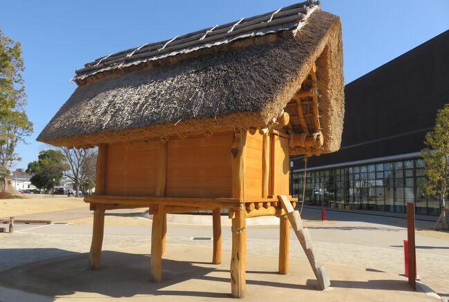 左斜め前から眺めた、『復元高床倉庫』の光景です。余りに立派過ぎる萱葺屋根ですから、つい、台風襲来の時の、風の心配などが頭を過(よ)ぎりました。屋根の重たさではなく、風圧荷重の問題です。