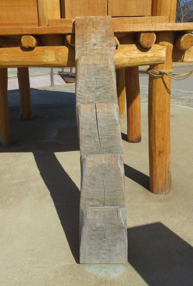 弥生時代の高床倉庫の梯子のズームアップ光景です。出土したものを参考に再現した梯子のようでした。東南アジアの旅行では、今でも多くの高床式の建物を見かけますが、この種の梯子には気が付きませんでした。現在はもっと簡便な造りのものに代わったのかも知れません。