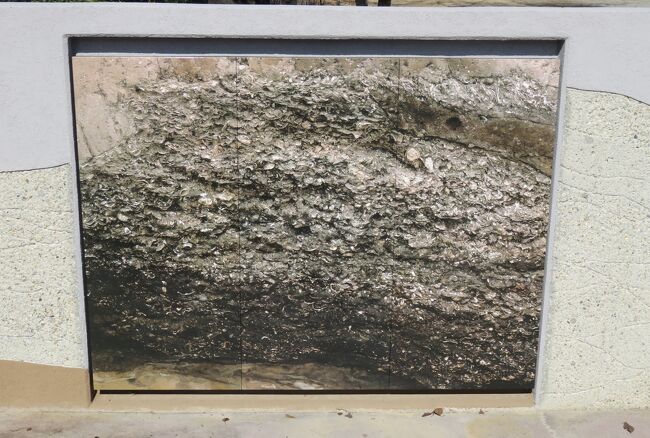 『貝殻山貝塚』の発掘写真です。『弥生時代前期の環濠と貝塚』のタイトルがあった説明パネルには、ハマグリ、カキを中心に、シジミ、サルボウ、アカニシなどの貝殻が溝に残っていたと説明されていました。