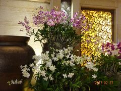 ホテルに戻るとロビーには綺麗な蘭の花が咲き誇って迎えてくれます