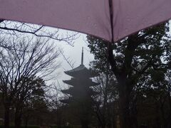 2015年3月1日、お昼前に京都に到着したころには、雨は本降りとなっていました。
しかし、雨の京都は静かです。

まず、近鉄京都駅から一駅の「東寺」で下車。
向かうところはもちろん東寺です。

雨に煙る五重塔は幻想的でした。
傘も交えて、臨場感ある？雨の東寺です。