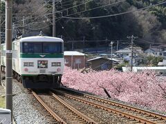 目的地の河津駅には定刻の12:00に到着しました。
終点まで乗車したかったのですが、スケジュールの都合でここで下車です。